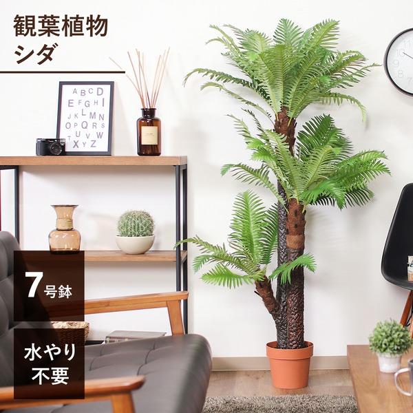 観葉植物 造花 約幅90cm シダ 7号鉢対応 43 52678 インテリアグリーン リビング 店舗 ショップ お店 観葉植物 造花 インテリアグリーン 約幅90cm シダ 7号鉢対応 リビング 店舗 ショップ お店