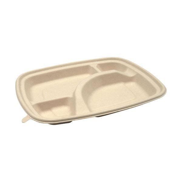 (まとめ) パックスタイル BB竹バガス弁当 N24-20A ラミ 237×197×高さ25mm 1パック(50枚) 〔×3セット〕