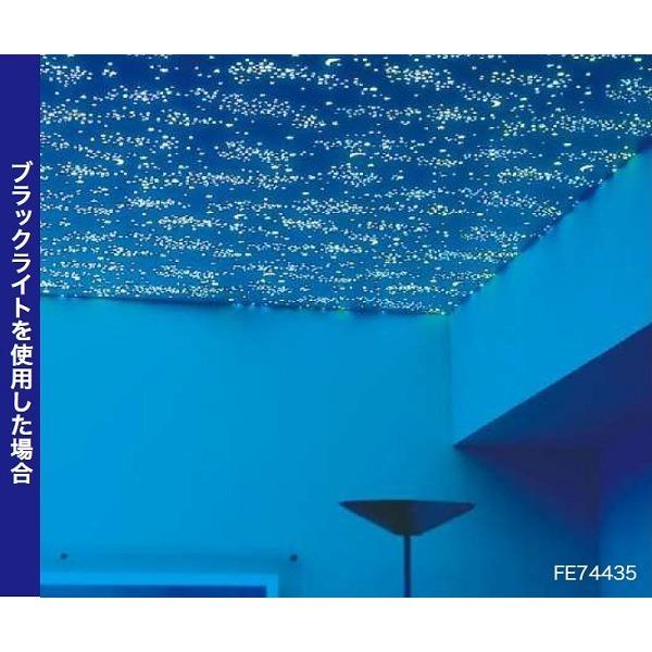 お年玉セール特価 サンゲツ のり無し壁紙 光る壁紙 蓄光 Fe m巻 93cm巾 壁紙 Www Ricamificiolevi Com