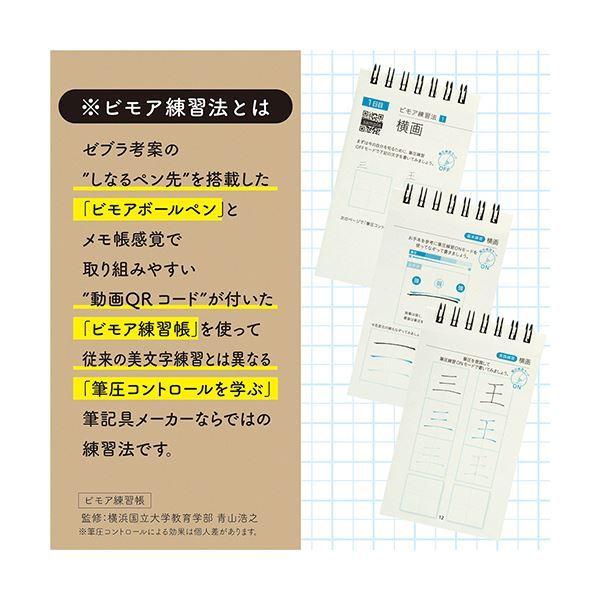 （まとめ）ゼブラ ビモア ボールペン+練習帳セット0.5mm 黒 (軸色：シルバー) SE-JJ114-S 1パック〔×10セット〕｜net-plaza｜05