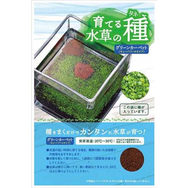 （まとめ）育てる水草の種 育成ソフトマットセットGC〔×2セット〕 (観賞魚/水槽用品)｜net-plaza｜04