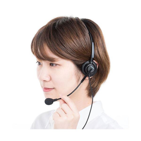 https://item-shopping.c.yimg.jp/i/n/net-plaza_ds-2555964_2_d_20231117051842