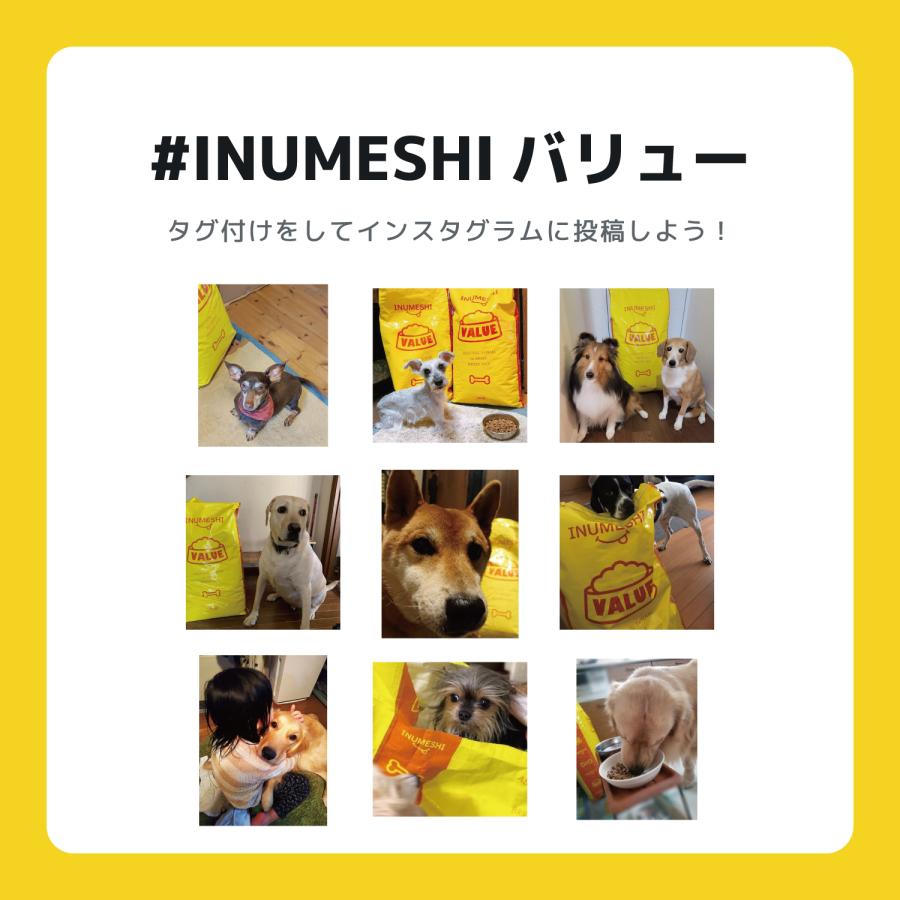 pl2751 INUHIKARI いぬひかり【成犬用1~6歳】 新品未使用　5袋 INUHIKARI-いぬひかり- | petandco株式会社