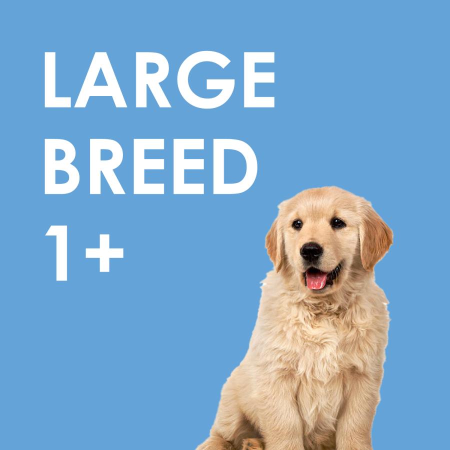 INUMESHI フィースト 子犬用 大型犬用 15kg ブリーダーパック