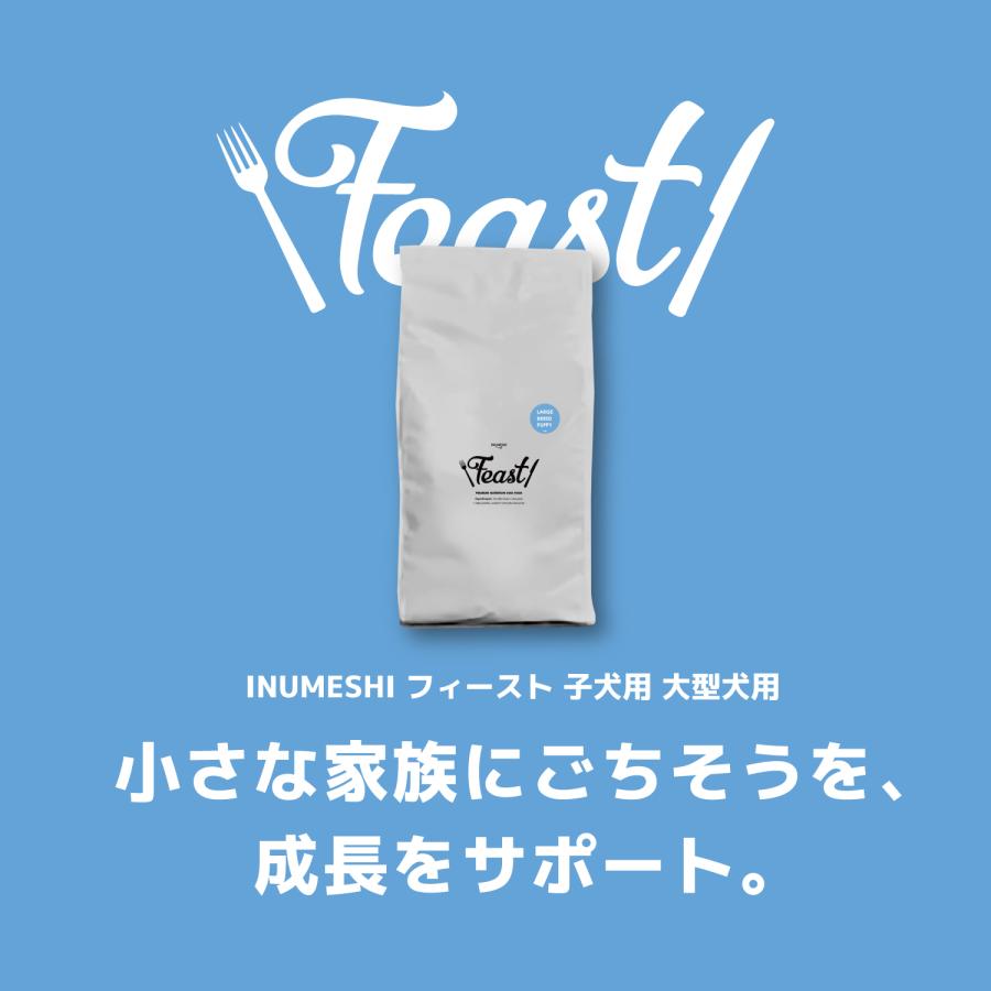 INUMESHI フィースト 子犬用 大型犬用 15kg ブリーダーパック