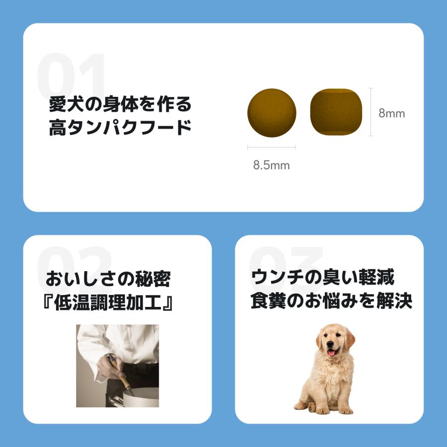 INUMESHI フィースト 子犬用 大型犬用 15kg ブリーダーパック