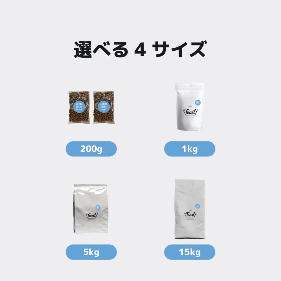 INUMESHI フィースト 子犬用 大型犬用 3袋 INUMESHI フィースト 子犬用 大型犬用 15kg ブリーダーパック