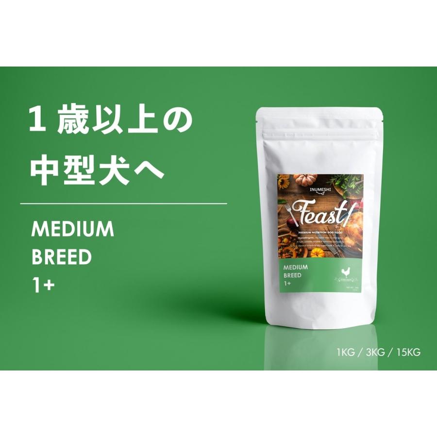 週末キャンペーンINUMESHI　フィースト　1歳以上　大型犬用　15kg 1個 楽天市場】INUMESHI フィースト 体重管理用 1歳以上 全犬種用