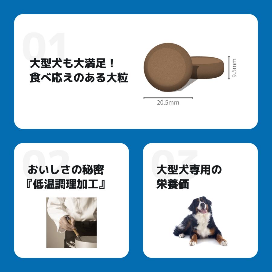 INUMESHI フィースト 1歳以上 大型犬用 大粒 15kg ブリーダーパック