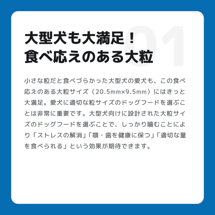 INUMESHI フィースト 1歳以上 大型犬用 大粒 15kg ブリーダーパック