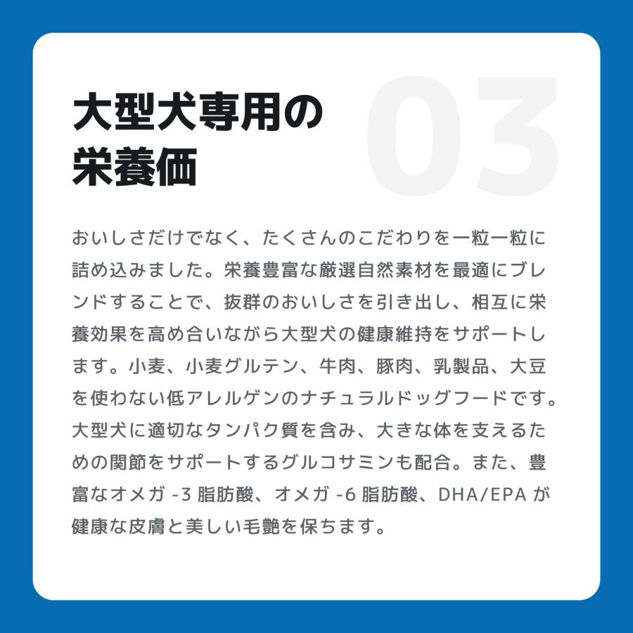 週末キャンペーンINUMESHI　フィースト　1歳以上　大型犬用　15kg 1個 Amazon.co.jp: INUMESHI フィースト ドッグフード 1歳以上 大型
