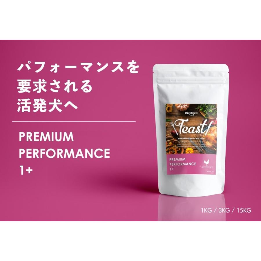 INUMESHI フィースト プレミアム パフォーマンス 1歳以上 活発犬