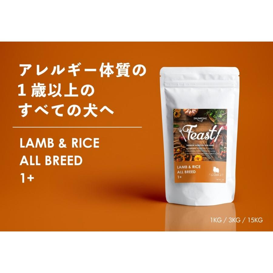 INUMESHI フィースト ラム&ライス 1歳以上 全犬種用 15kg