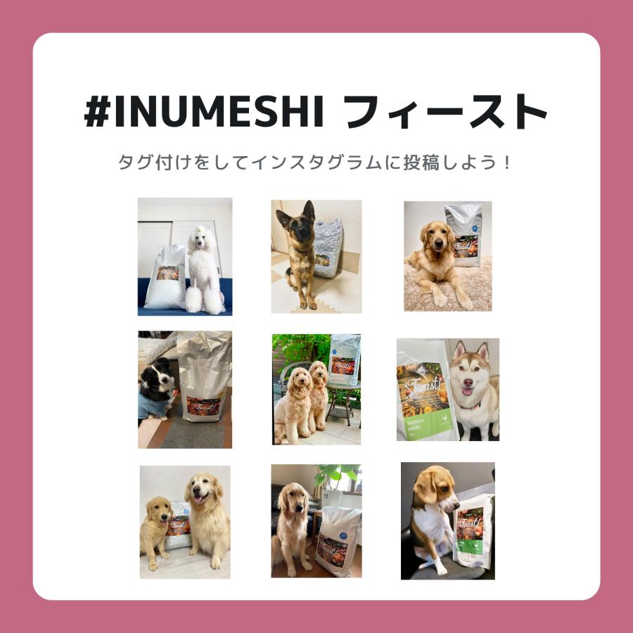 INUMESHI フィースト 体重管理用 1歳以上 全犬種用 15kg ブリーダー