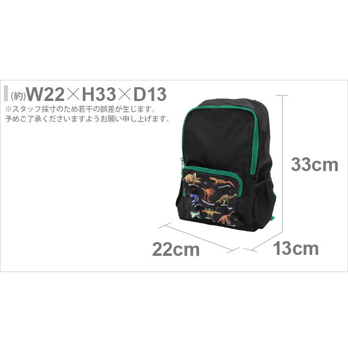 [半額・50%OFF]アニア　リュック　DAN-3900｜net-shibuya｜03