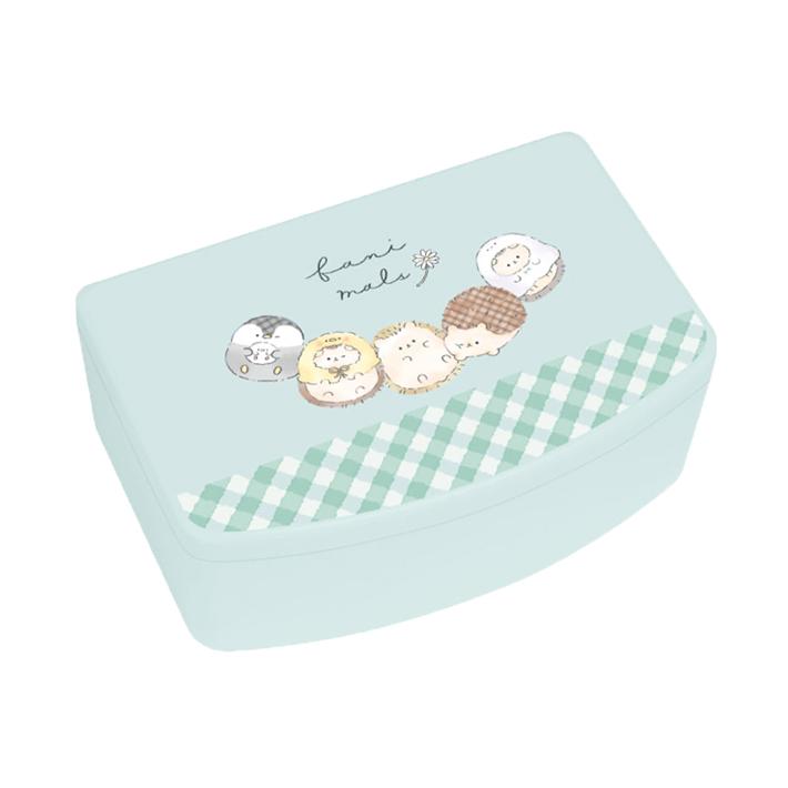 育てるジュエリーボックス、ワイド、本体のみ、10月31日まで、15%OFF！！