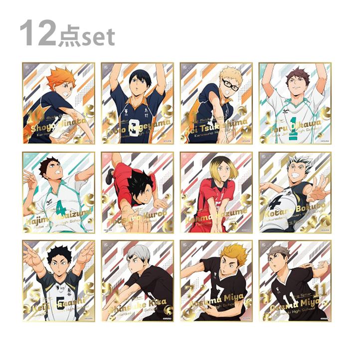 ジャンプ ハイキュー！！ ビジュアル色紙コレクション5 1BOX 12枚入り 