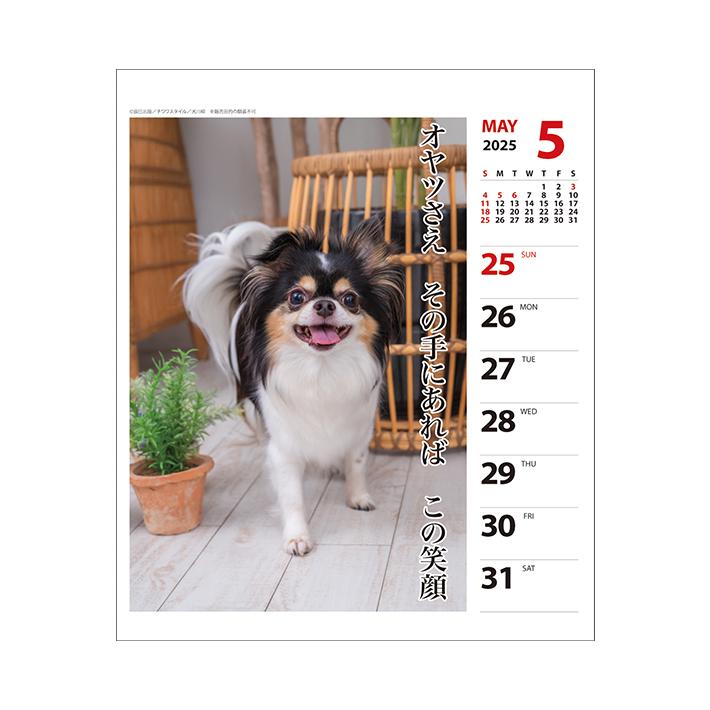 アートプリントジャパン 2025年 卓上カレンダー 犬川柳 週めくり