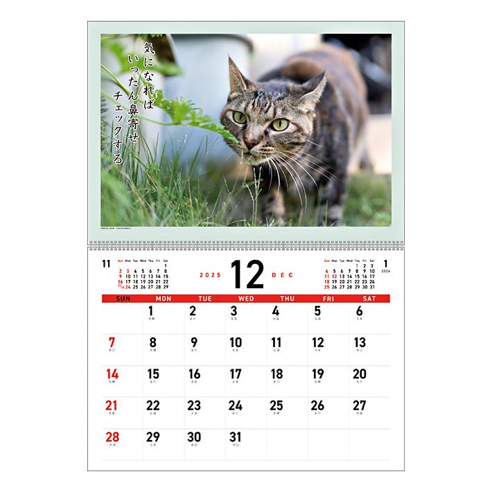 アートプリントジャパン 2026年 壁掛けカレンダー 猫川柳 1000136868
