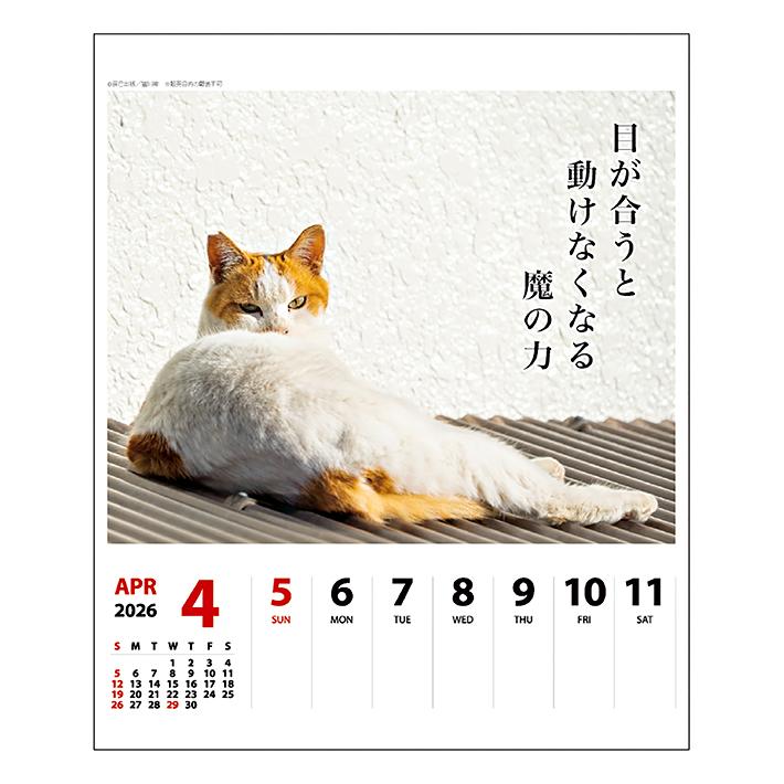 ベージュ スープジャー 猫の足跡デザイン 2025年カレンダー付き 猫の足あとカレンダー2025年版 From 山下絵理奈｜癒しの猫絵画家