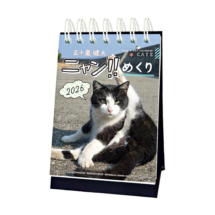 アートプリントジャパン 五十嵐健太 ニャン!! めくり 2026年