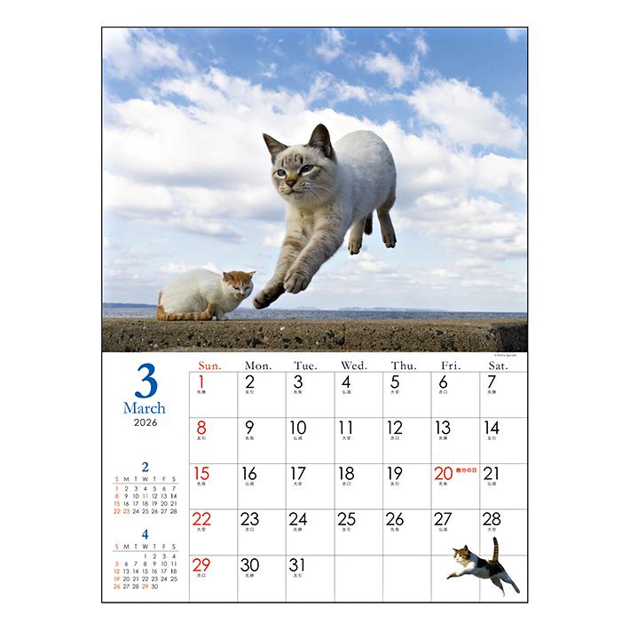 アートプリントジャパン 五十嵐健太 飛び猫 2026年 壁掛け