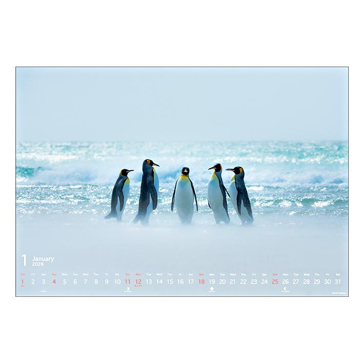 D・シェリン、日暮れの風景、希少画集の一頁、 新品高級額装付 風分 六抄【私の好きな情景】、希少画集画、状態良好、新品高級