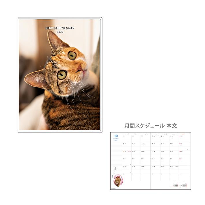 じゃれねこ『1月☆⑨ 黒龍×フラワー』 くろねこクロル（花猫 flower cat） 花猫シリーズ第28回目の花は