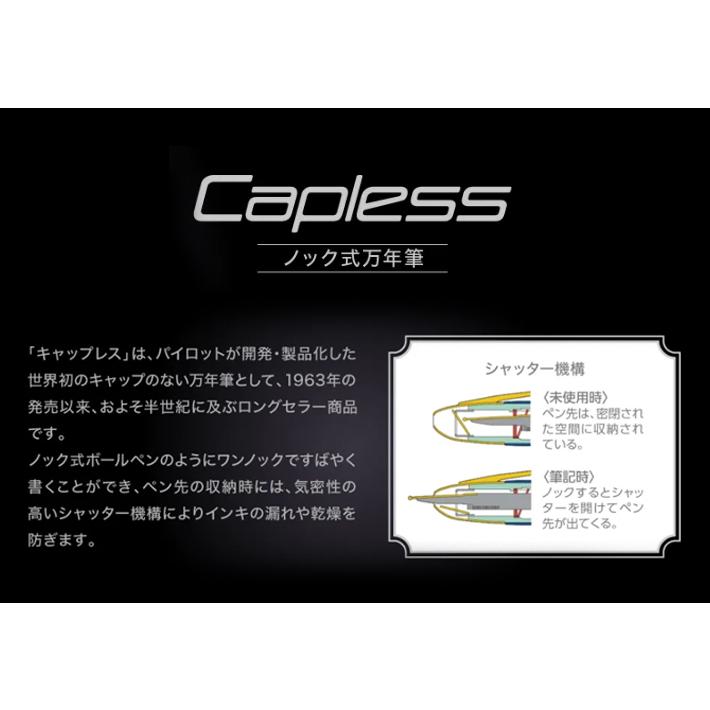 PILOT（パイロット） アナ・スイ キャップレス 万年筆 F ・EF(細字