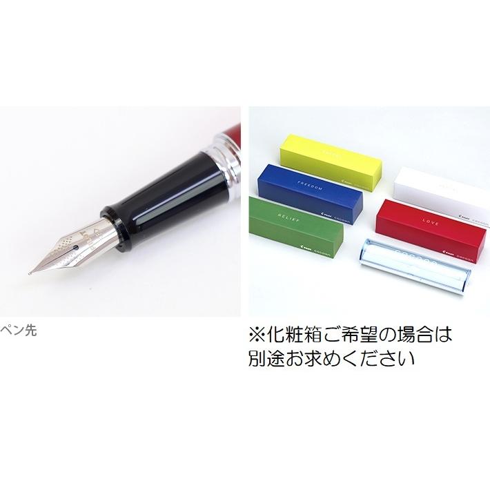 PILOT（パイロット） コクーン 万年筆 F細字・M中字 fco350rl 名入れ
