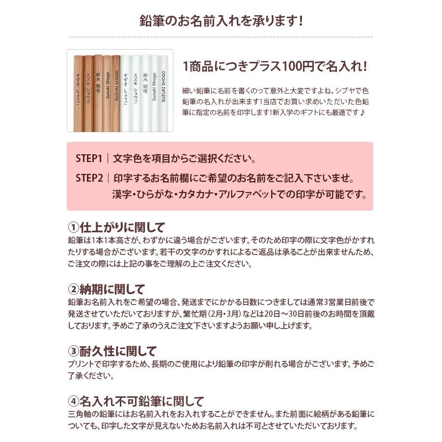 かきかた鉛筆 色鉛筆 お名前入れ決済用 1商品につき100円 鉛筆は別途ご購入 M便 1 1 シブヤ文具 通販 Paypayモール