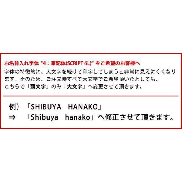 LAMY＜ラミー＞　万年筆　お名前入れ技術料　（※商品本体は別途お買い求めください）※ご購入時ご希望いただければ当店で追加致します※ [M便 1/1]｜net-shibuya｜03