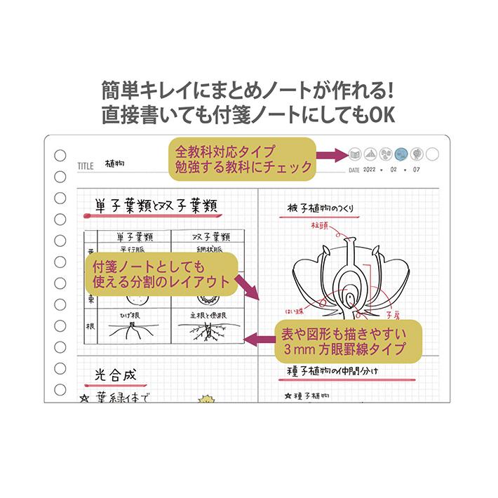 ルーズリーフ　B5　みおりんStudy Time　まとめノート用　4901770679648　[M便 1/7]｜net-shibuya｜03