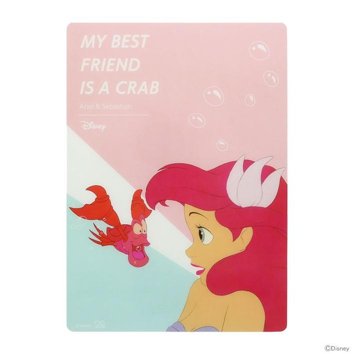 ディズニー プリンセス 下敷き B5 アリエルa柄 M便 1 1 シブヤ文具 通販 Paypayモール