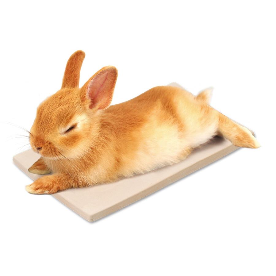 S60 サンコー ひんやりテラコッタ ウサギ チンチラ モルモット 夏バテ予防 暑さ対策 最新のデザイン ひんやりテラコッタ