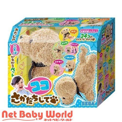 ココさかだちして アプリコット ( 1個 )/ セガフェイブ ココさかだちして アプリコット ( 1個 )/ セガフェイブ