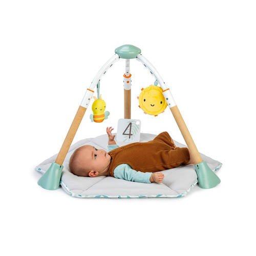 6in1 オールインワン プレイセット ( 1セット ) : NetBabyWorld(ネット