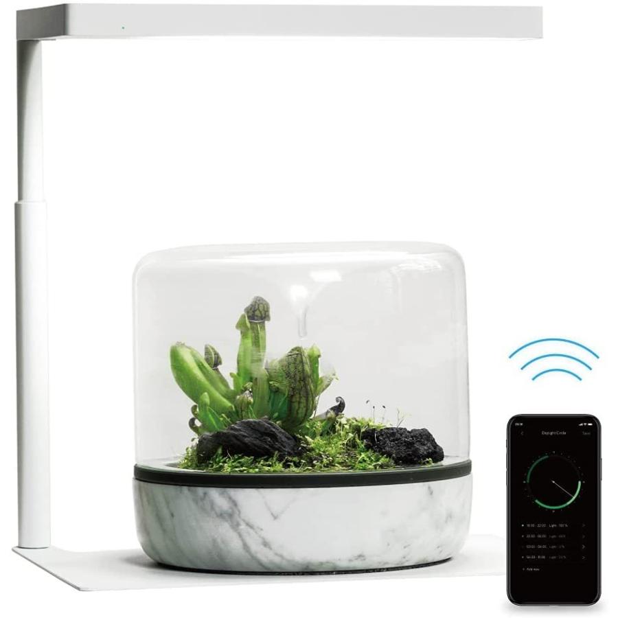 Onf 水槽 ライト Led ライト タイマー 付き アクアリウムライト 植物育成ライト 照明 適応サイズ Cm 25 Cm 30 Cm 36 その他熱帯魚 アクアリウム用品