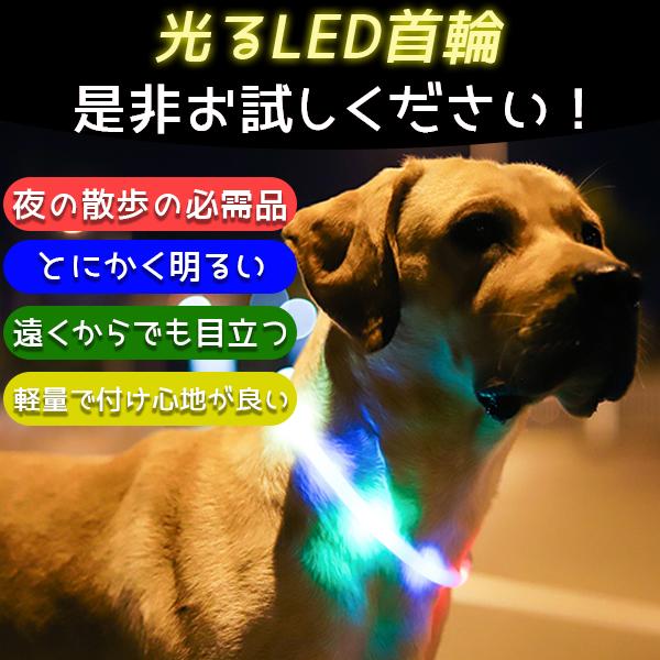 首輪 光る 犬 猫 LED 発光 ピカピカ おしゃれ USB充電式 防水 レインボー 赤 青 黄 緑   カラフル 夜 散歩 軽い  70cm |  | 16
