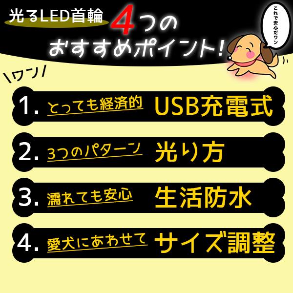 首輪 光る 犬 猫 LED 発光 ピカピカ おしゃれ USB充電式 防水 レインボー 赤 青 黄 緑   カラフル 夜 散歩 軽い  70cm |  | 08