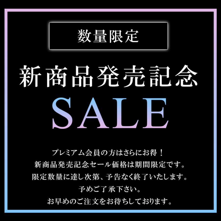 2点購入で3％OFF シアートップス レディース シースルー チュール ブラウス カットソー 春 夏 秋 冬 薄手 透け感 長袖 ハイネック インナー 重ね着｜netconcerto｜06