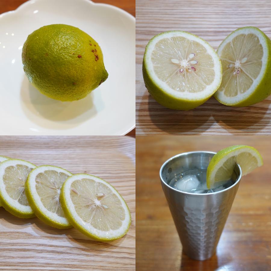 訳あり グリーンレモン 鹿児島県産 1kg 約5〜7個 コーティング剤不使用 防腐剤不使用 キズあり 斑点あり 訳あり 国産 日本産 レモン |  | 02