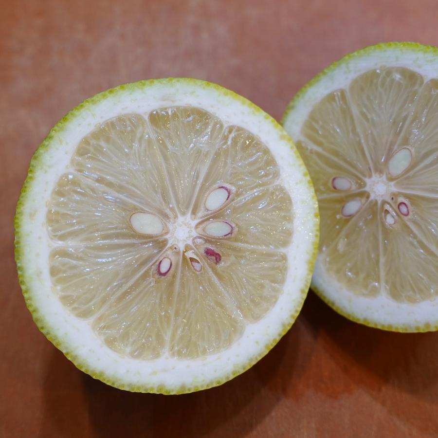訳あり グリーンレモン 鹿児島県産 1kg 約5〜7個 コーティング剤不使用 防腐剤不使用 キズあり 斑点あり 訳あり 国産 日本産 レモン |  | 01