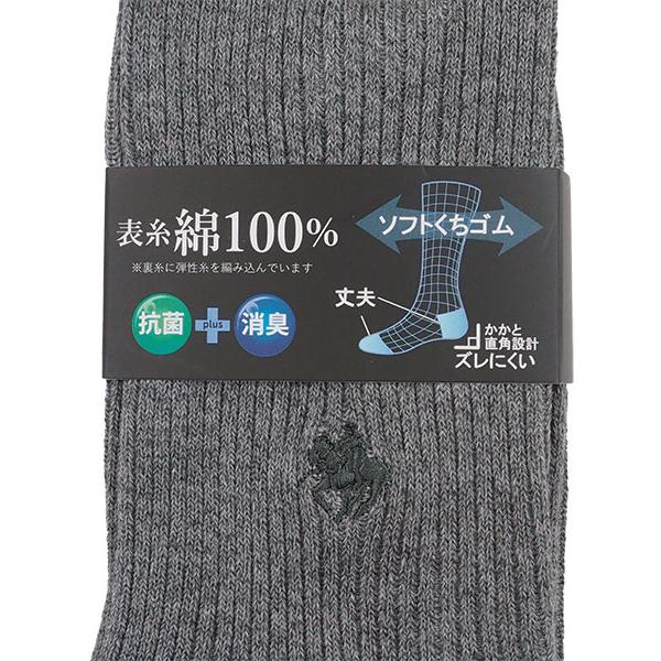 グンゼ POLO ポロ メンズソックス 1  表糸綿100% 定番 リブ 年間 PL0125 GUNZE [25-27、27-29、23-25サイズ] 紳士 | GUNZE | 02