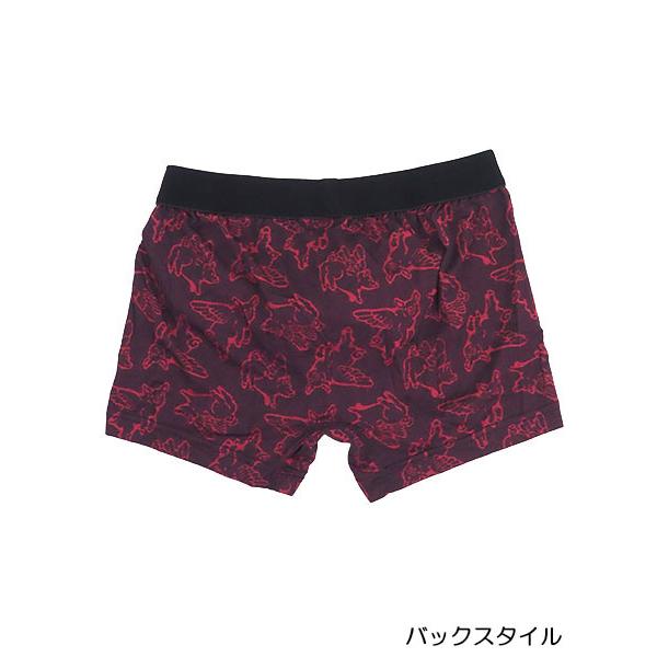 BODY WILD（ボディワイルド） グンゼ メンズボクサーパンツ 前とじ