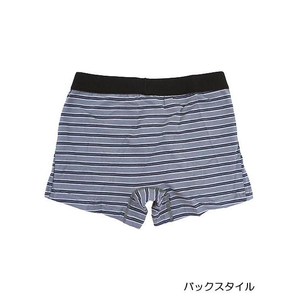 グンゼ YG JUST FIT メンズボクサーブリーフ 前あき ボーダー柄 年間 YV4282 GUNZE [M、L、LLサイズ] 紳士 インナー | YG | 07