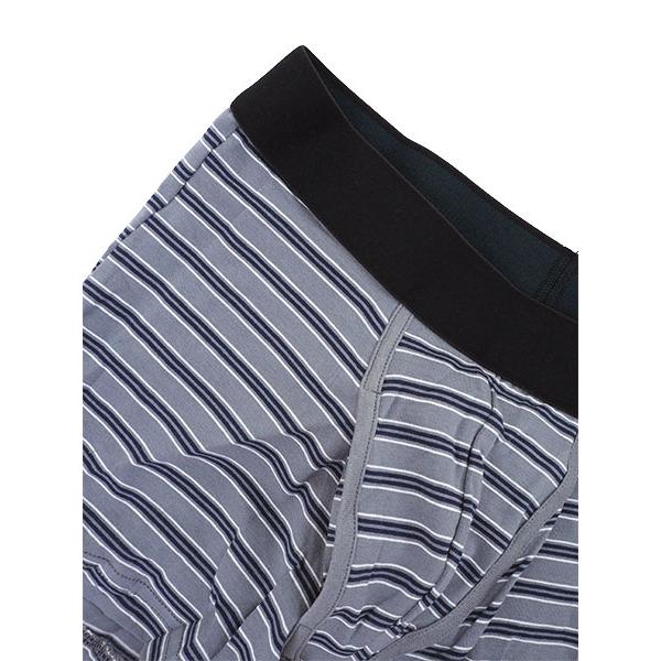 グンゼ YG JUST FIT メンズボクサーブリーフ 前あき ボーダー柄 年間 YV4282 GUNZE [M、L、LLサイズ] 紳士 インナー | YG | 08