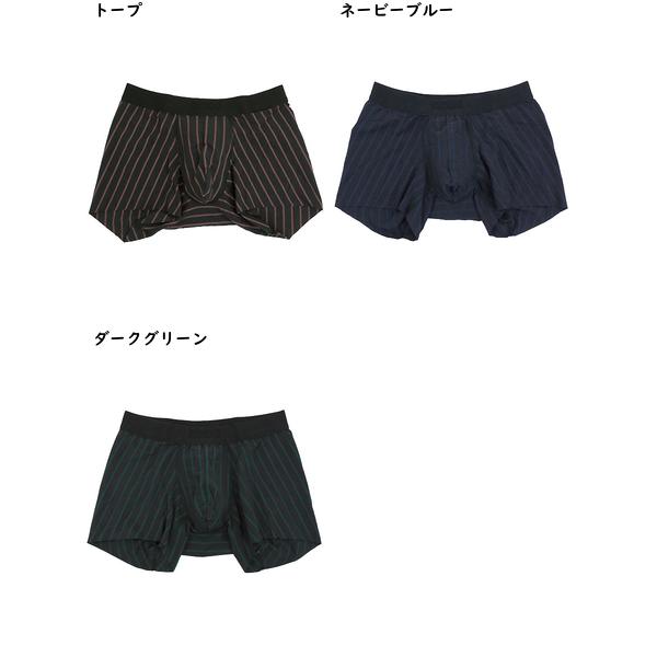 グンゼ BODYWILD メンズボクサーパンツ 前とじ  切りっぱなし ストライプ柄  日本製 年間 BWW000A GUNZE [M、L、LLサイズ] 紳士 インナー | BODY WILD | 04