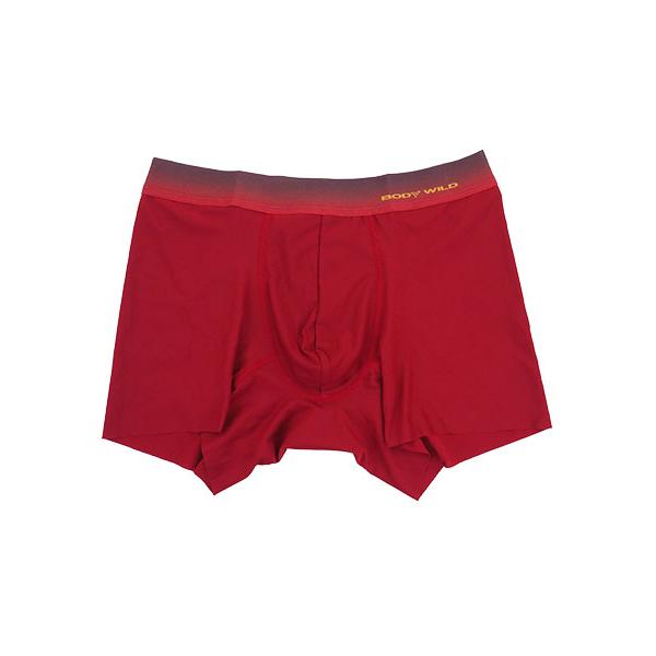 GUNZE BODYWILD EZX 超軽量カットオフ メンズブーストボクサー 前とじ グラデーション 日本製 年間 BWV001A GUNZE [M、L、LLサイズ] 紳士 インナー | BODY WILD | 10