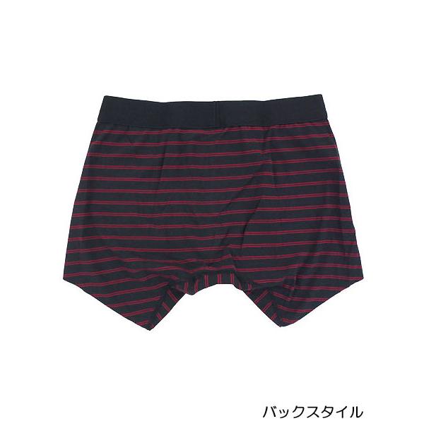 グンゼ BODYWILD メンズボクサーパンツ 前とじ  切りっぱなし ボーダー柄  日本製 年間 BWW002A GUNZE [M、L、LLサイズ] 紳士 インナー | BODY WILD | 01